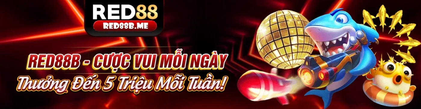 Lợi ích khi sử dụng Winvn Code